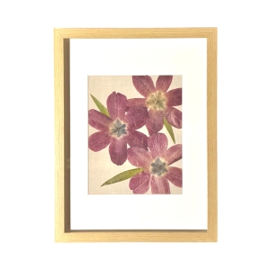 Makepeace Designs - Tulips