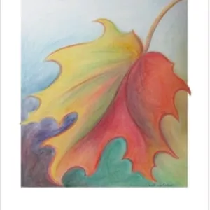 Carol Calabro Riverbend Cards2